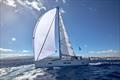 ARC  2023 leg 2 line honours winner Nessun Dorma departing Las Palmas