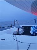 Joule, a New Windelo 50 Yachting