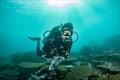 The National Coral Reef Monitoring Program depends on highly trained divers to conduct fish surveys across the Pacific