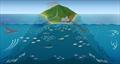 © NOAA Fisheries