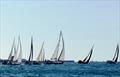 Round Jersey race - cruiser start in 2024 © Bill Harris