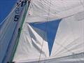 Never a prettu sight when the Mainsail goes.. &copy; Ken Gourlay