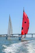 St. Augustine Sailing's Ladybug Event