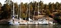 One of the highlights of ARC Baltic: traditional Swedish rock mooring in the heart of the spectacular Stockholm Archipelago