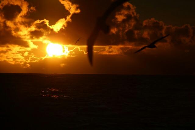 Szymon Kuczynski sailing around the world on the yacht Atlantic Puffin - photo © Szymon Kuczynski