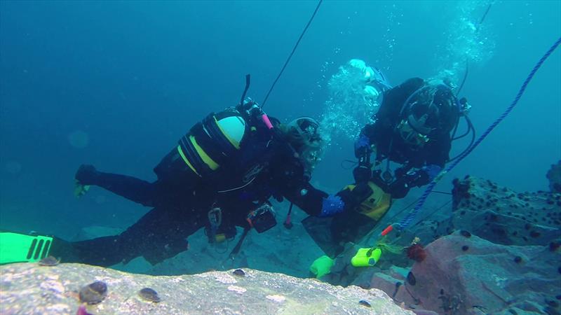 Dive-collecting-the-animals photo copyright Terri Souster taken at  and featuring the Cruising Yacht class