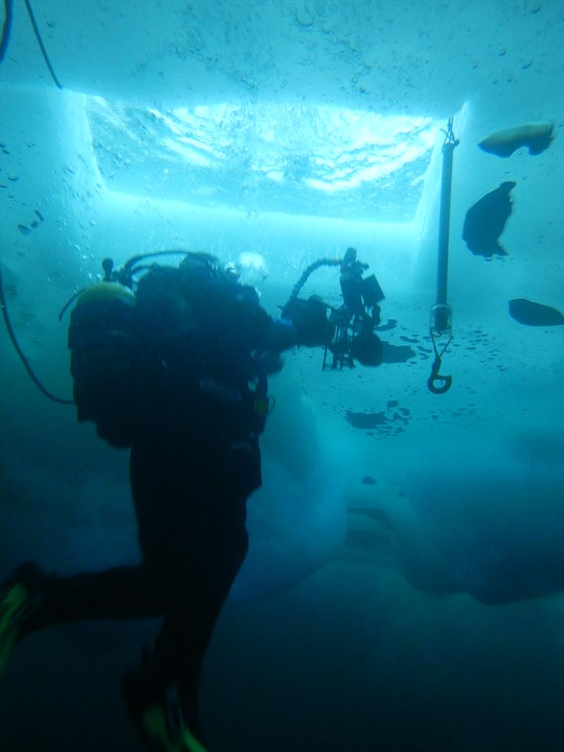 Diving through a hole in the sea ice during winter to collect specimens.  - photo © Emily Venables