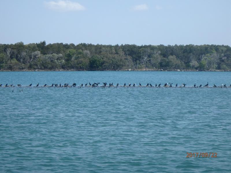 Morning serenity – Iluka - photo © Kristen Anderson