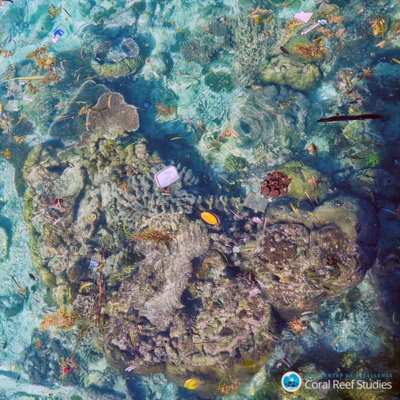 Aerial view of plastic floating over corals - photo © ARC CoE for Coral Reef Studies / Kathryn Berry