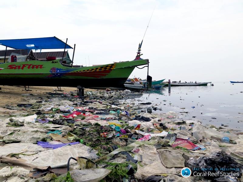 Debris lining the beach in Sulawesi Indonesia photo copyright ARC CoE for Coral Reef Studies / Joleah Lamb taken at  and featuring the Cruising Yacht class