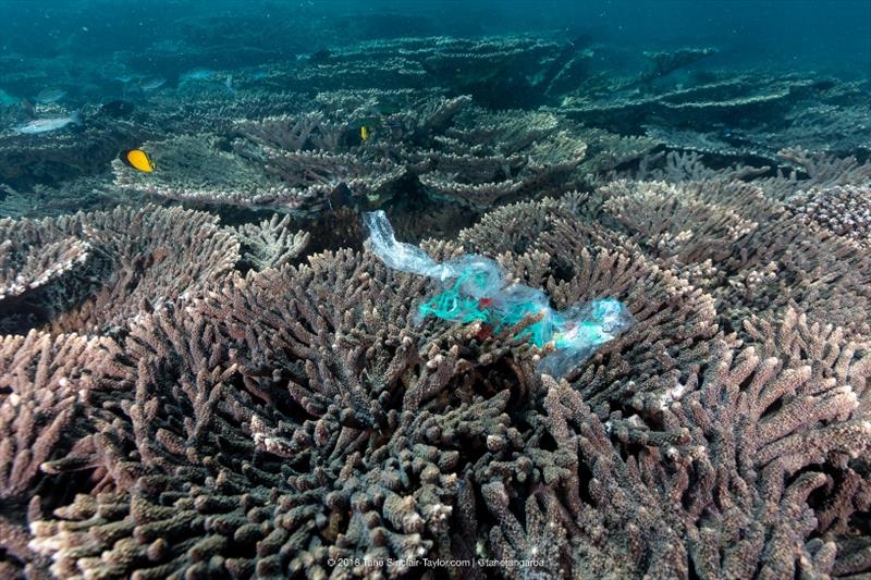 Plastic pollution on the world's coral reefs