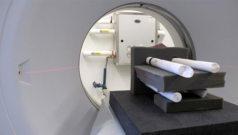 Scientists used a 3-D Computerized Tomography (CT) scanner to image the coral cores. The CT scan images reveal annual growth bands, much like rings on a tree, which showed scientists how corals grew their skeletons upward while also thickening them. - photo © Thomas DeCarlo, WHOI