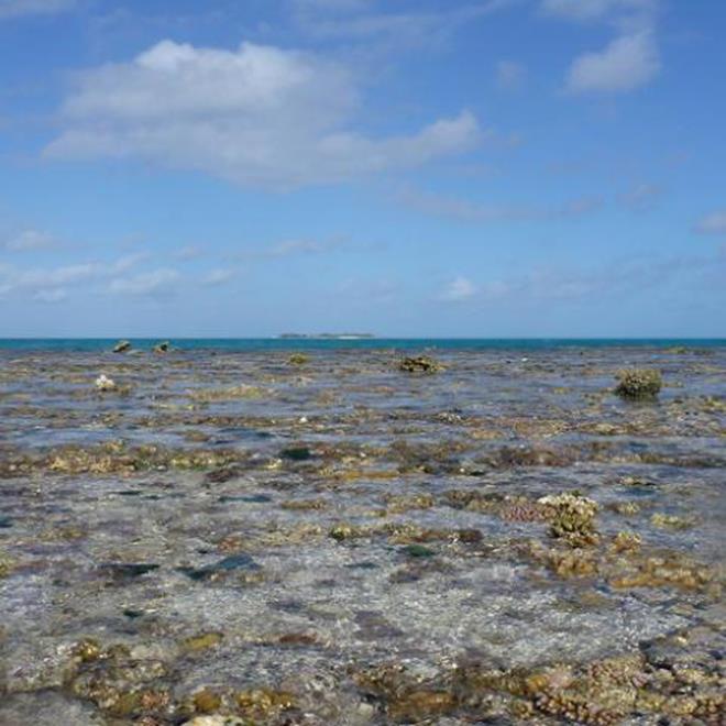 Coral reef flat (study site) at One Tree Island in Australia's Great Barrier Reef. - photo © Aaron Takeo Ninokawa of UC Davis