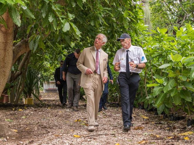 A stroll through the nursery at Lady Elliot - photo © Greg Sullavan