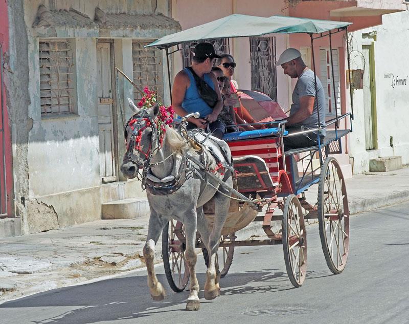 Pony cart - photo © Neil Langford