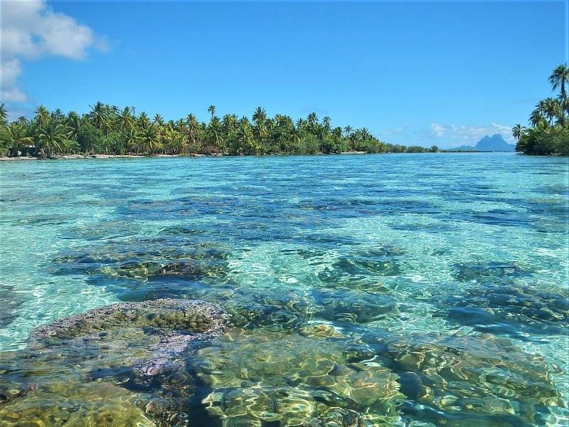 Coral Garden at Tahaa with Bora Bora in the background photo copyright Andrew and Clare taken at  and featuring the Cruising Yacht class