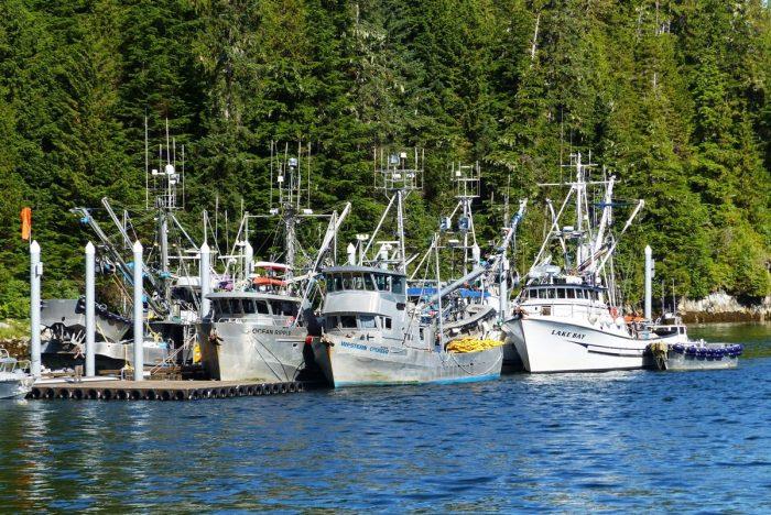 Fishing trawlers photo copyright Beth Cooper taken at  and featuring the Cruising Yacht class