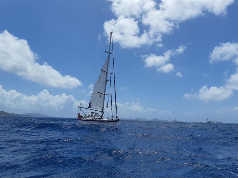 ARC Europe 2018 - Nanny Cay - Start photo copyright World Cruising taken at  and featuring the Cruising Yacht class