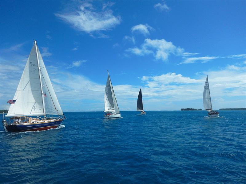 2018-19 World ARC photo copyright World Cruising taken at  and featuring the Cruising Yacht class