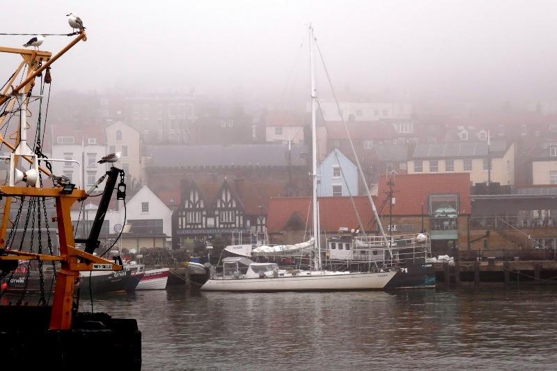 Taipan in Scarborough in a very dense fog - photo © SV Taipan