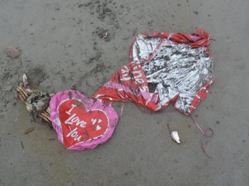 Crab tangled in the ribbons of mylar Valentines Day balloons photo copyright Russ Lewis, NOAA Marine Debris Program taken at  and featuring the Cruising Yacht class