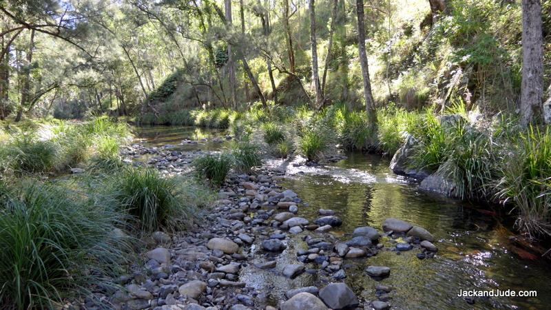 Peaceful Cooradoral Creek in Nymboida NP - photo © Jack and Jude