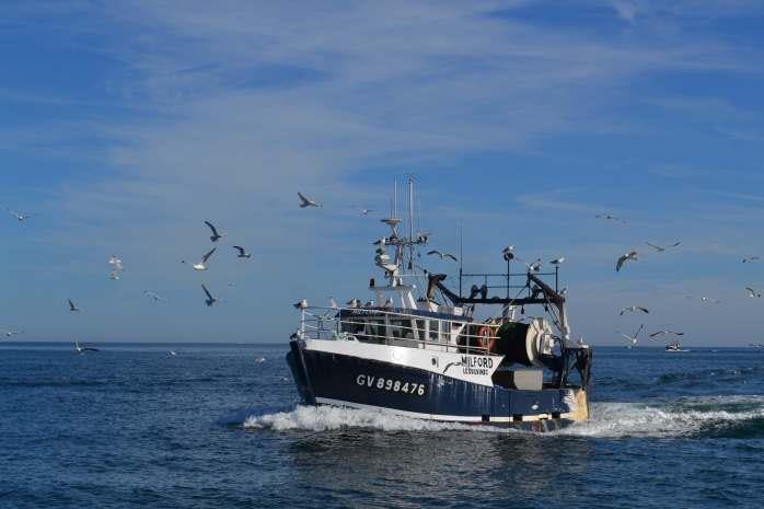 Seagulls on the Fishing Boats photo copyright Maree & Phil taken at  and featuring the Cruising Yacht class