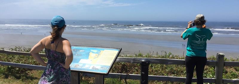 An interpretive sign installed by The Whale Trail near Kalaoch, Washington - photo © The Whale Trail