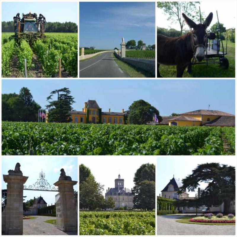 Medoc Region Vines and Chateau's - photo © SV Red Roo