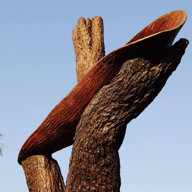 Coolaman also known as piti by the Anangu people traditionally used by Aboriginal women to carry water, fruits, nuts, as well as to cradle babies - photo © Jack and Jude