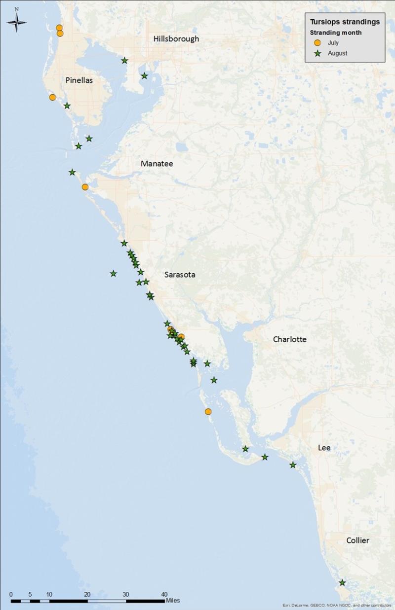 Map of bottlenose dolphin strandings in Southwest Florida since July 1st photo copyright NOAA Fisheries taken at  and featuring the Cruising Yacht class