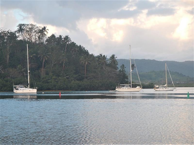 The mooring field at Savusavu - photo © Andrew and Clare