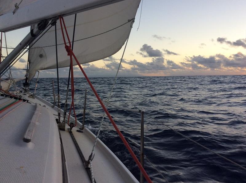 Bill Hatfield Oldest solo sailor to circumnavigate the World arrives at SYC - photo © Bill Hatfield