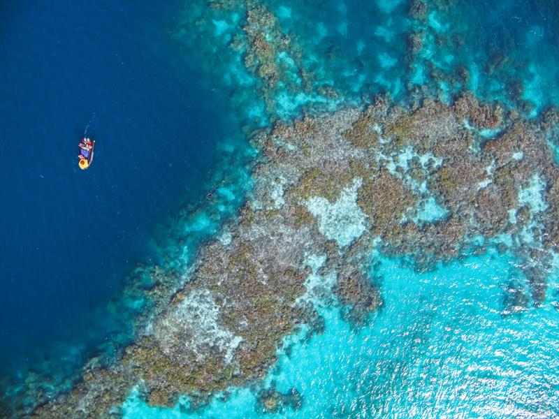 Divers conduct swim surveys to look for derelict fishing nets on the reefs at Pearl and Hermes Atoll - photo © NOAA Fisheries / Steven Gnam