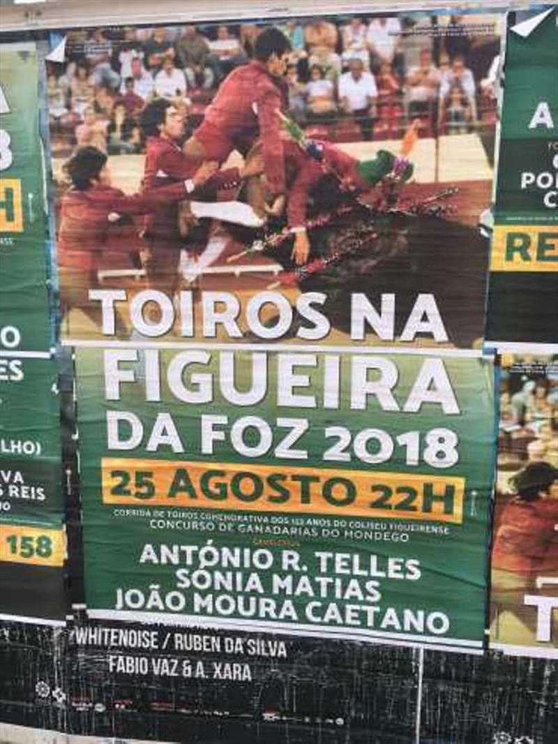 Bull Fight Tonight – Figueira da Foz - photo © SV Red Roo