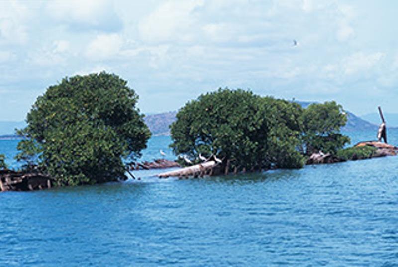 Guide to shipwrecks - photo © GBRMPA