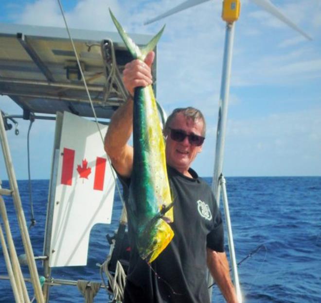 A tasty catch photo copyright Jordan & Judy Mills taken at  and featuring the Cruising Yacht class