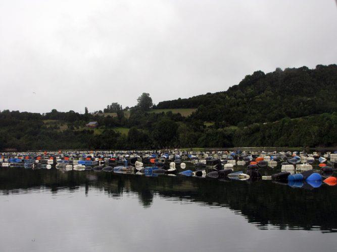 Oyster farm. - photo © Laurence Roberts and Mary Anne Unrau