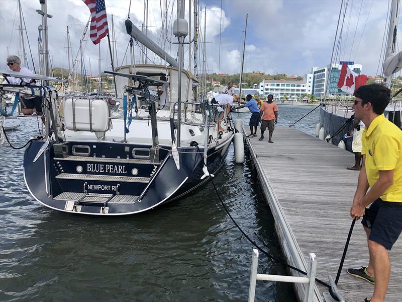 World ARC 2018-19 ends in Saint Lucia - photo © World Cruising