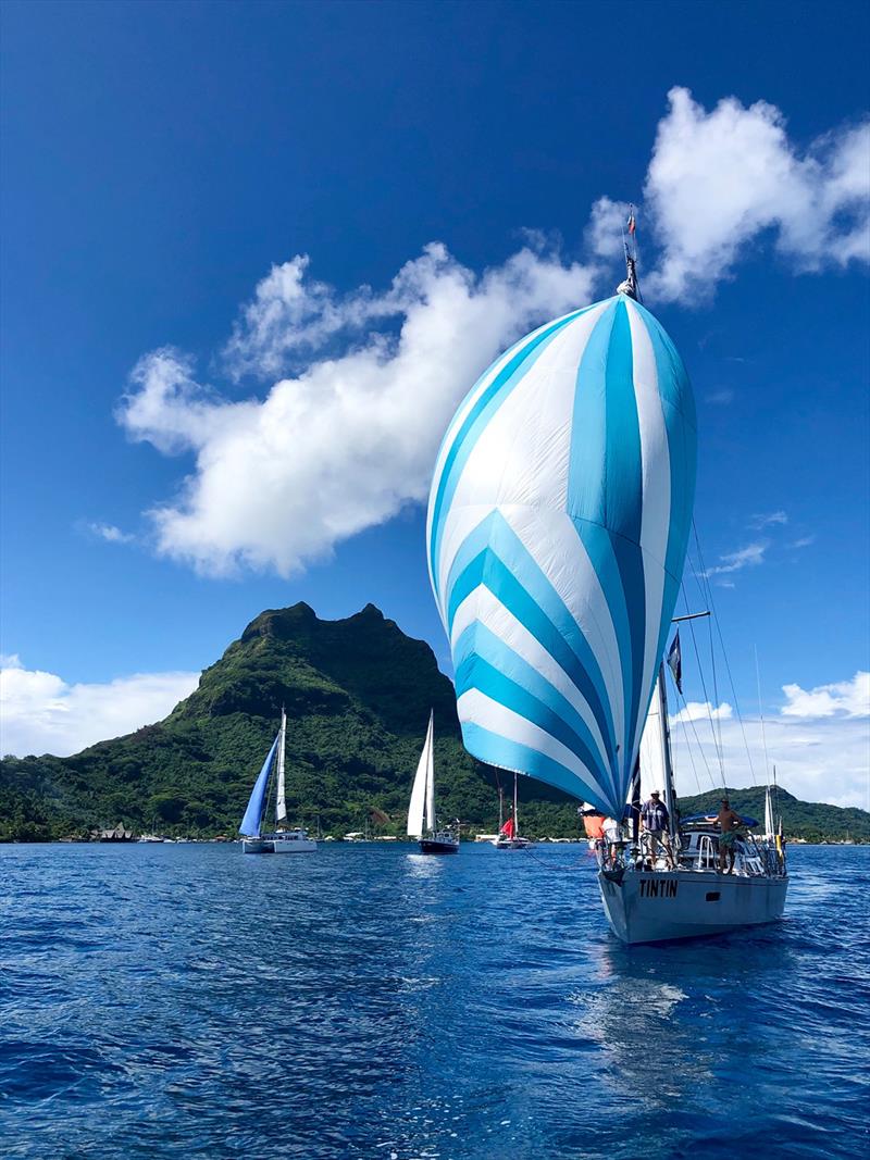 Word ARC 2019-20 - Start - ResoluteII Tintin photo copyright World Cruising taken at  and featuring the Cruising Yacht class