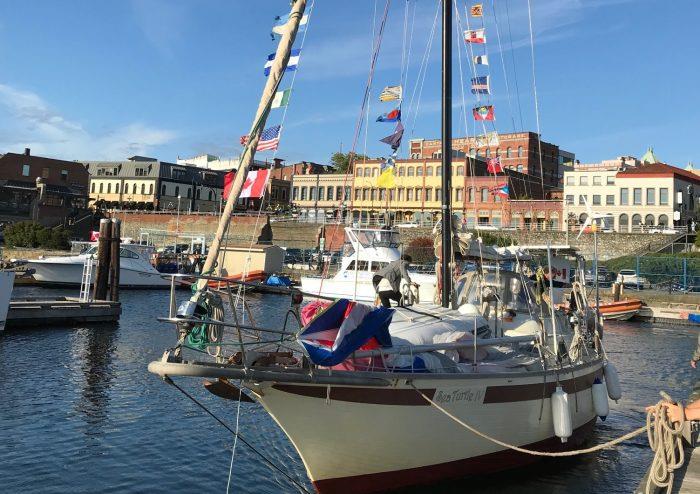 Sea Turtle and crew arriving in Victoria! - photo © Edie Dittman