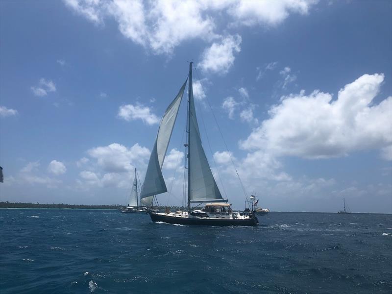 World ARC 2019-20 photo copyright World Cruising taken at  and featuring the Cruising Yacht class