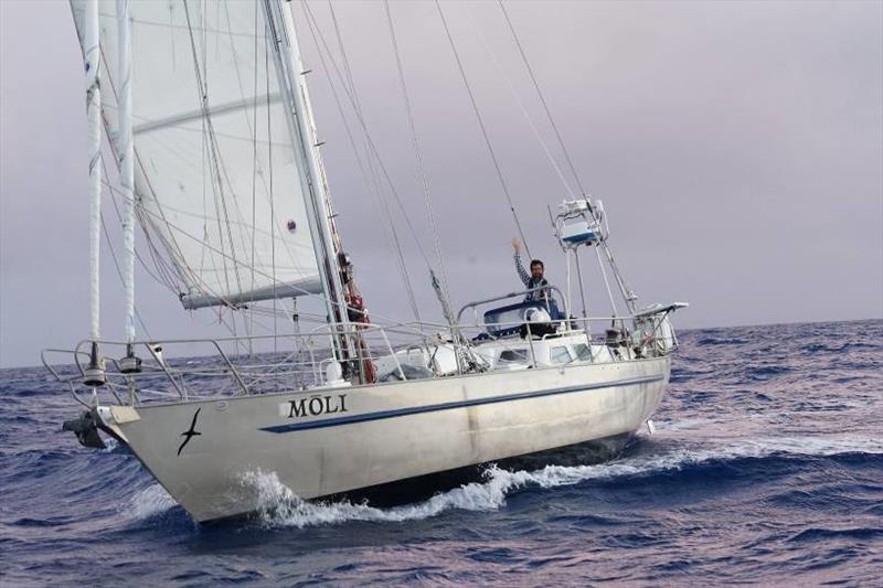 Randall Reeves and s/v Moli returned to San Francisco after their historic circumnavigation of the Antarctic and American continents - photo © Ocean Cruising Club