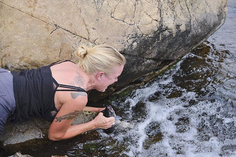 Ingrid Sluggard Myklebust catches a fish in Greenland - with her hands! photo copyright Jon Petter Slungaard Myklebust taken at  and featuring the Cruising Yacht class