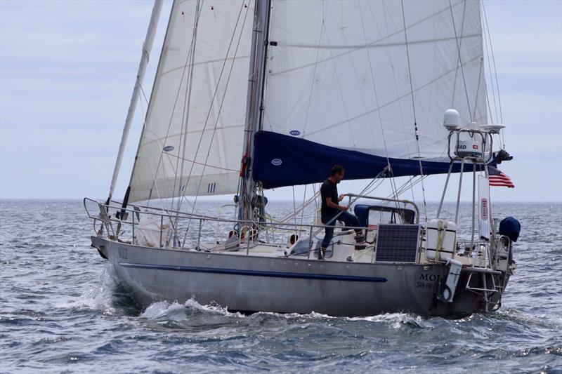 Moli under full sail - photo © Image courtesy of Randall Reeves