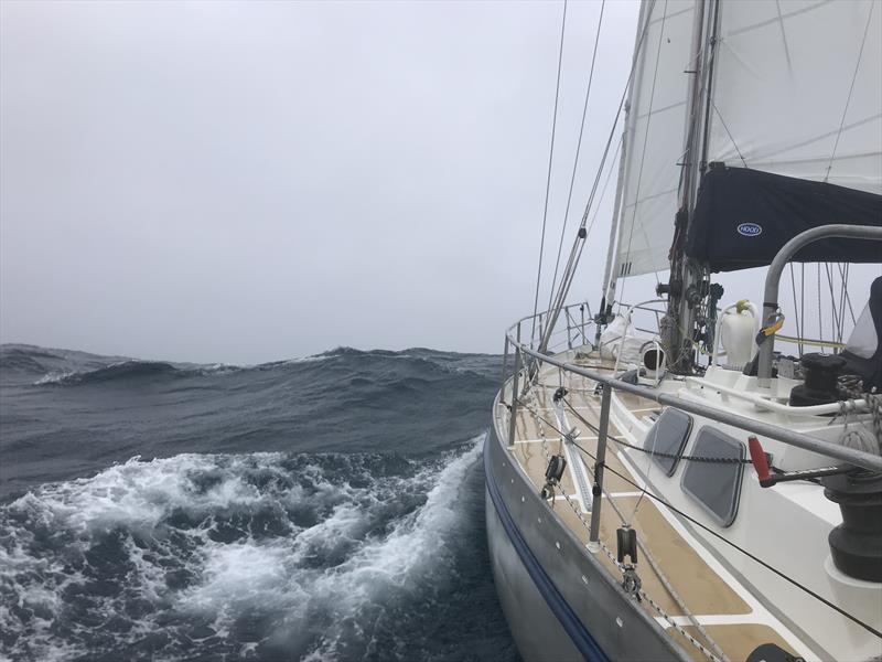 Moli makes tracks offshore photo copyright Randall Reeves taken at New York Yacht Club and featuring the Cruising Yacht class