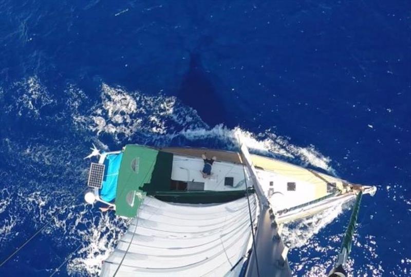 Bird's eye view of Aventura III photo copyright Jimmy Cornell taken at  and featuring the Cruising Yacht class