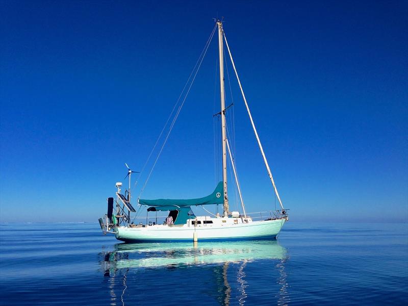 Liz Clark photo copyright Amber Stronk taken at  and featuring the Cruising Yacht class