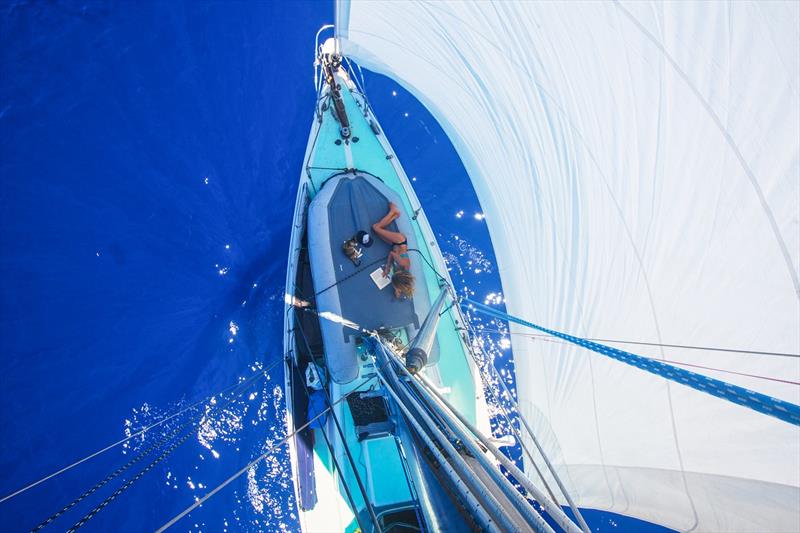 liz kitty reading on swell photo copyright Liz Clark taken at  and featuring the Cruising Yacht class