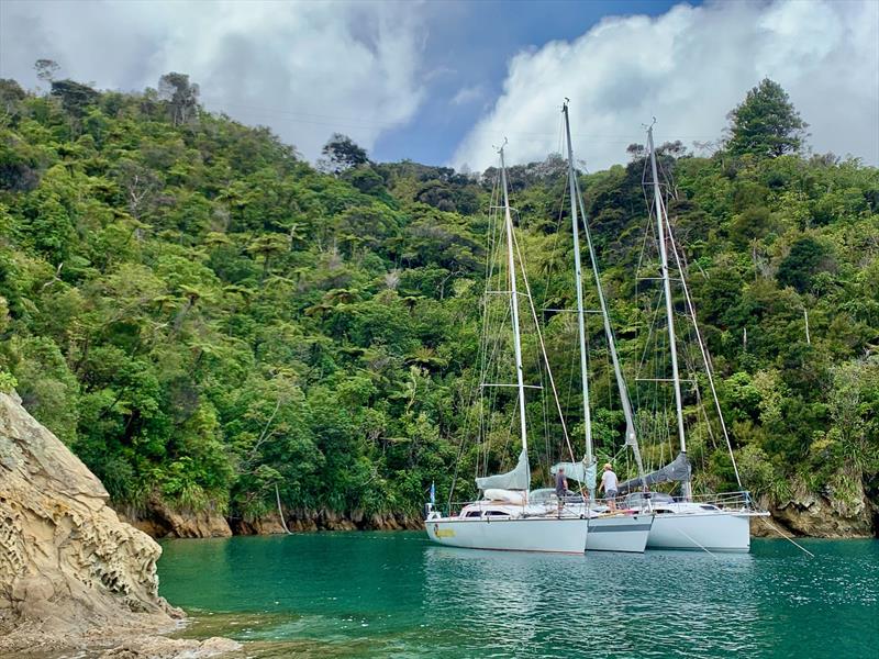 Yachts at anchor in Queen Charlotte Sound – planned Sail South rally destination – Ballistic, Natural Magic & High Voltage photo copyright Peter Moore taken at  and featuring the Cruising Yacht class